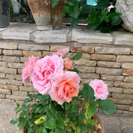 Bed&Breakfast Sole Azzurro-2